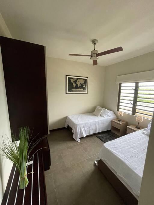 Les Alizees Grand Baie Apartment Exterior photo